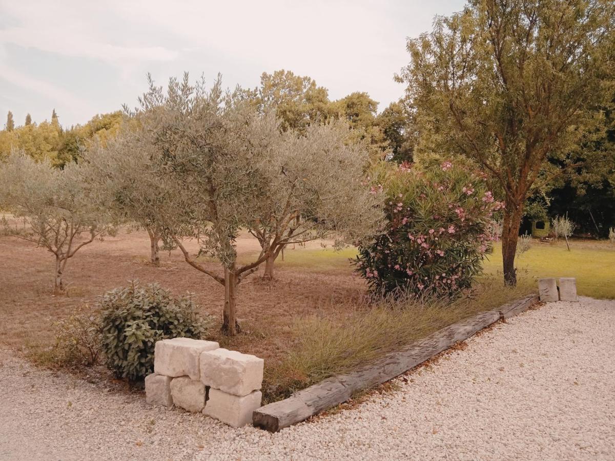 Gite Du Mas De La Finiere ,Avec Spa Interieur Châteaurenard Buitenkant foto