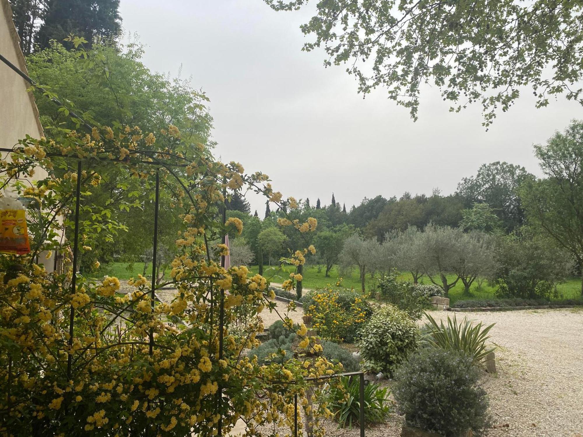 Gite Du Mas De La Finiere ,Avec Spa Interieur Châteaurenard Buitenkant foto